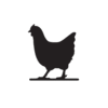 Меловая табличка «Курица»